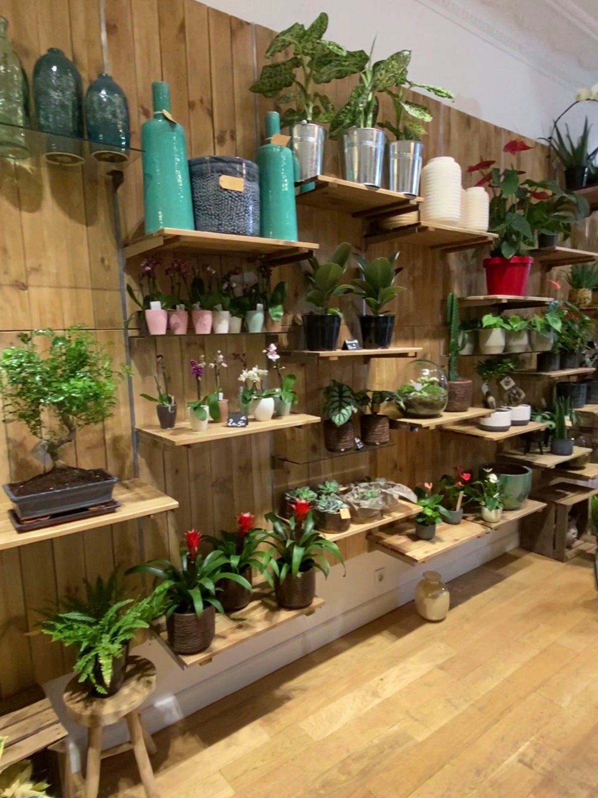 Le coin atelier, plantes suspendues et étagères