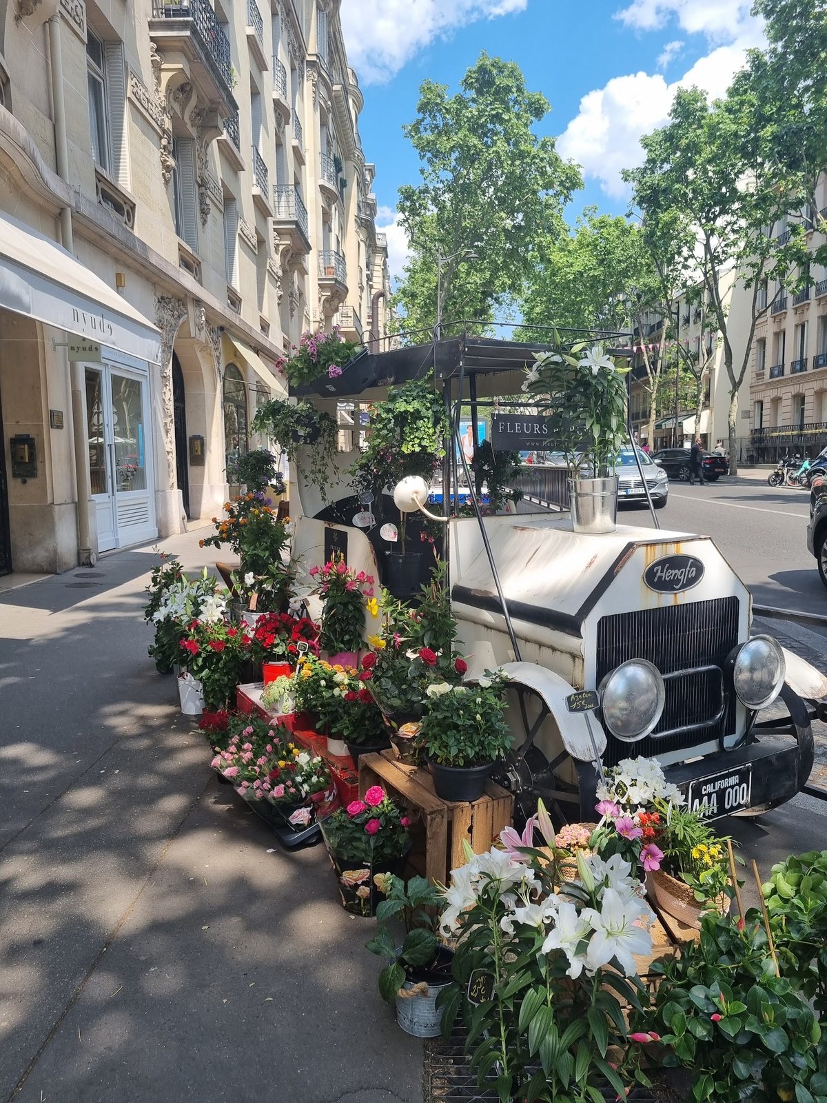 Calèche décorative fleurie devant la boutique