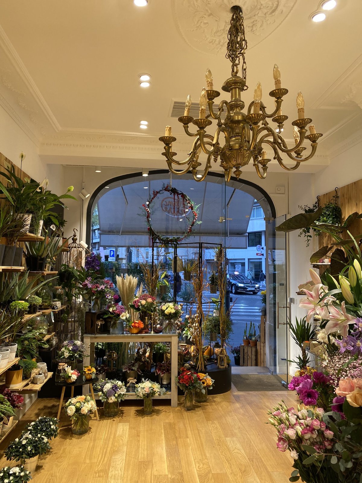 La boutique sous son lustre, plantes et compositions