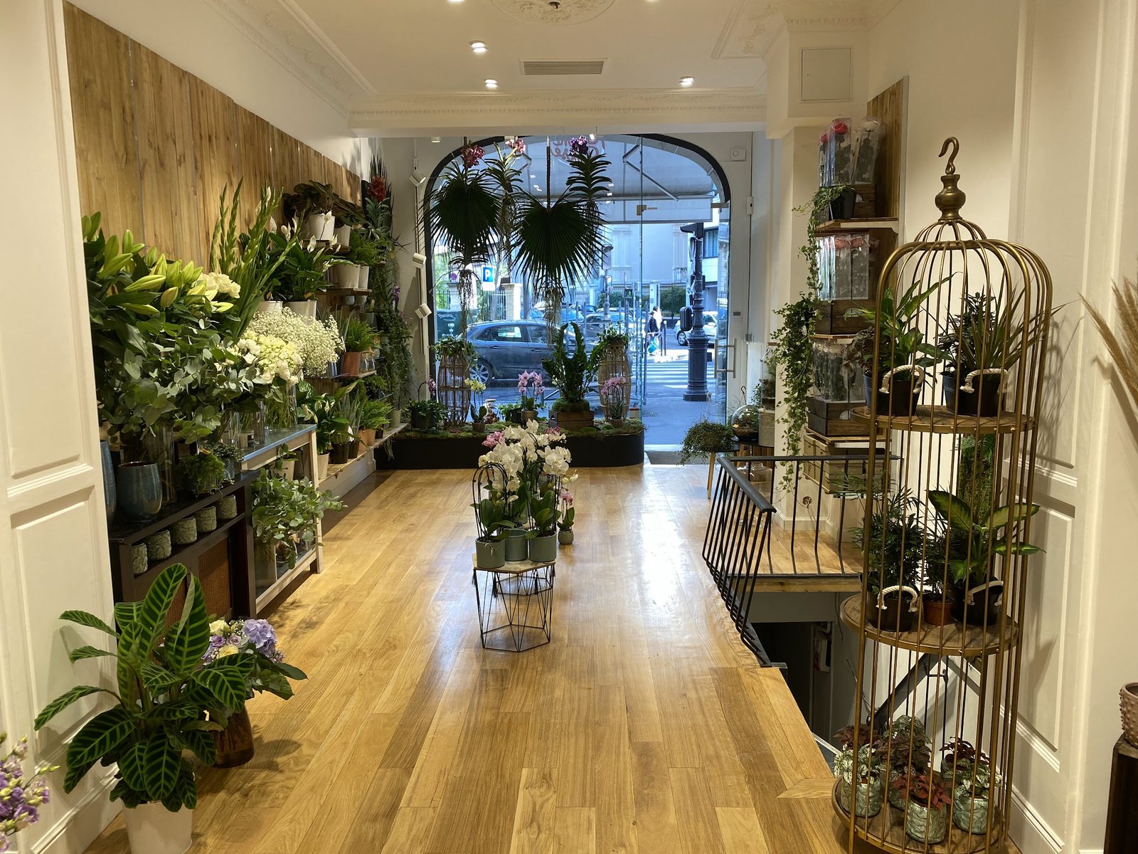 L’intérieur de la boutique : parquet, plantes vertes et orchidées jusqu’à la vitrine