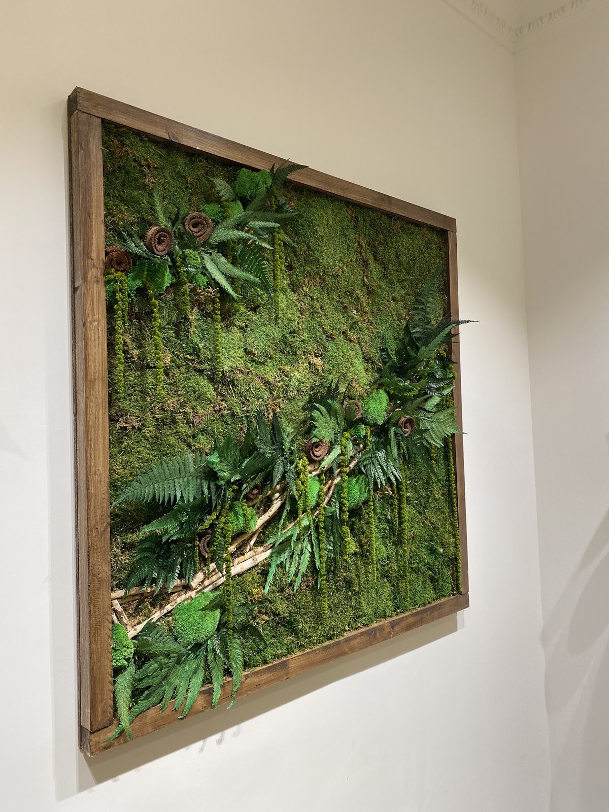 Tableau végétal de mousse et de feuillages