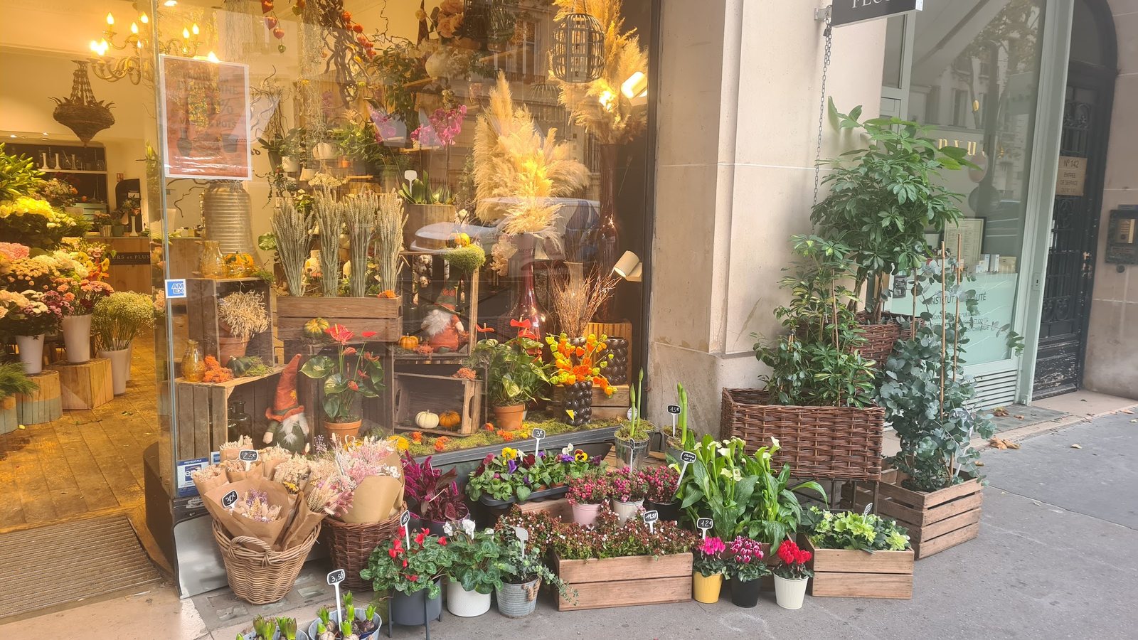 Vitrine d’automne : herbes de la pampa, citrouilles et plantes en caisses