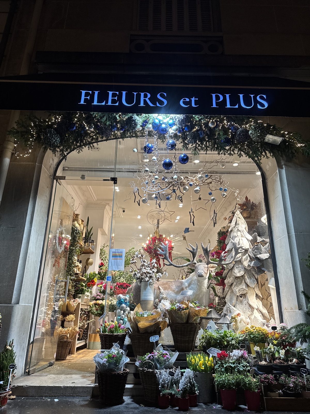 La vitrine décorée le soir
